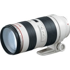 Canon EF 70-200 mm F/2.8L USM Telefoto Zoom Lens