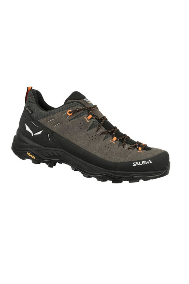 Salewa Alp Trainer 2 GTX Erkek Ayakkabı