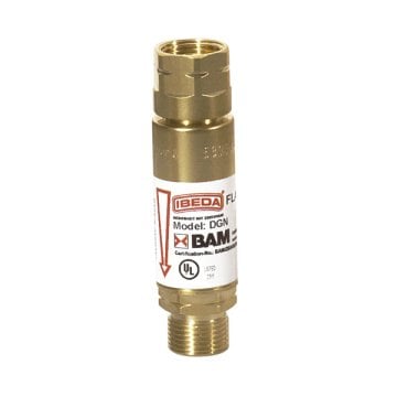 Alev Emniyet Valfi DGN Basınç Düşürücü için Yanıcı Gaz