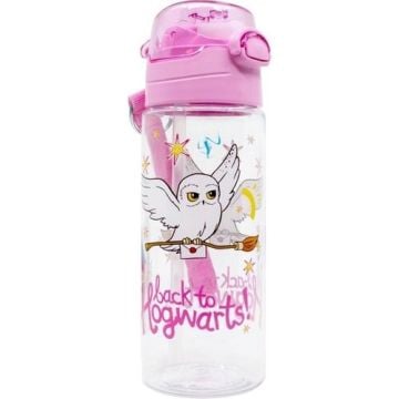 Harry Potter Şeffaf Suluk Matara 500ML