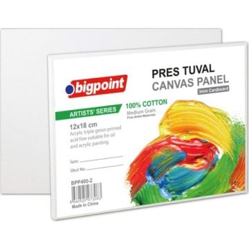 Bigpoint Press Tuval 10 x 12 cm