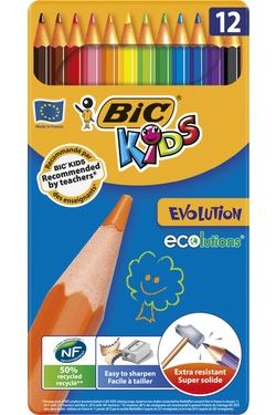 Bic Evolution Kuruboya 12'li