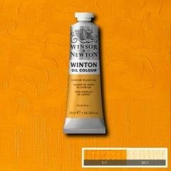 Winsor & Newton Winton 37 ml Yağlı Boya 9 Cadmium Yellow Hue