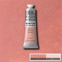 Winsor & Newton Winton 37 ml Yağlı Boya 20 Flesh Tint