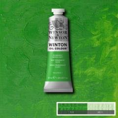 Winsor & Newton Winton 37 ml Yağlı Boya 48 Permanent Green Light