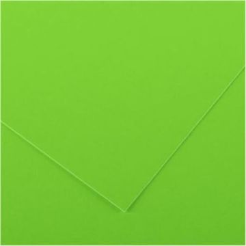Alex Schoeller Fon Kartonu 160gr 50x70 cm Açık Yeşil