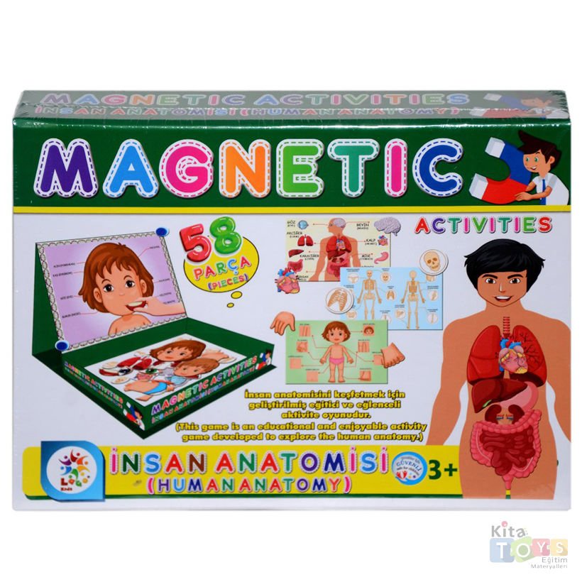 Manyetik İnsan Anatomisi (Organlar-İskelet-Vücut) 7171