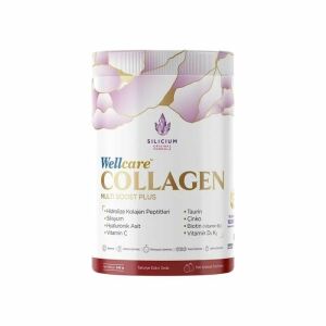 Wellcare Collagen Multi Plus 10000 mg Nar Aromalı 345gr Toz