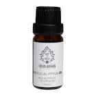 Art De Huile Eucalyptus Ökaliptus 10 ml