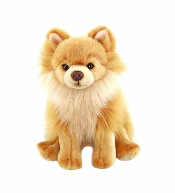 Floppy Pomeranian Peluş Köpek 28 cm