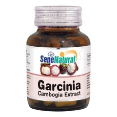 Garcinia Cambogia Ekstraktı 90 Kapsül x 430 mg