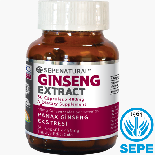 Panax Ginseng Ekstrakt 60 Kapsül 480 mg Ginseng Ekstresi Extract