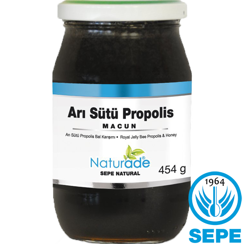 Arı Sütü Propolis Bal Macun 454G