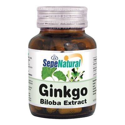Ginkgo Biloba Ekstraktı 90 Kapsül x 400 mg