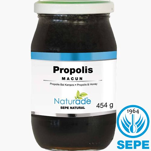 NATURADE Propolis Extract Ekstrakt Bal Karışım 454 gr