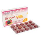Tantunatura Forestberry Pastıl