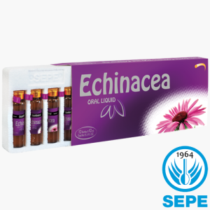 Ekinezya Ekstraktı 750 mg x 10 Ampul (Likit) Echinacea