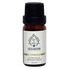 Art De Huile Cypress Selvi Uçucu Yağı 10 ml