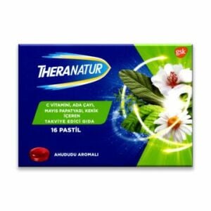 (KUTU HASARLI) Theranatur Ahududu Aromalı Pastil 16 Adet