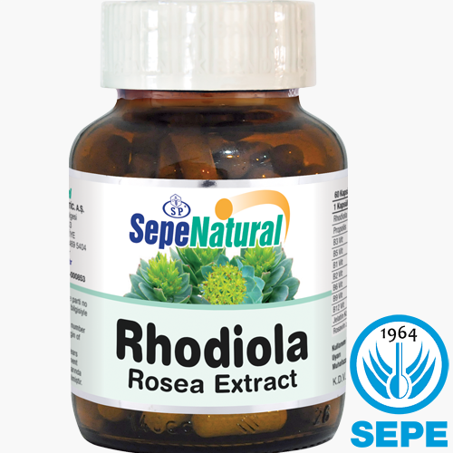 Rhodiola Extract & Vitamins 60 Kapsül 387 mg Rodiola Rodiyola