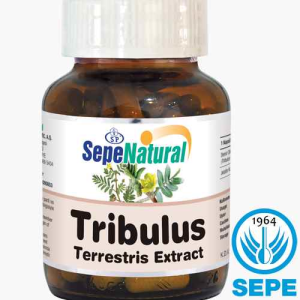 Tribulus Extract 90 Kapsül 480 mg Demir Dikeni Ekstrakt Ekstre