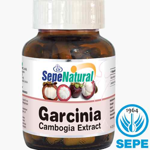 Garcinia Cambogia Extract Kapsül 90 x 430 mg Garsinya Ekstresi