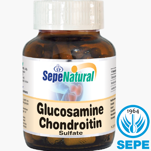 Glukozamin Kondroitin 90 Kapsül 500 mg Glucosamine Chondroitin