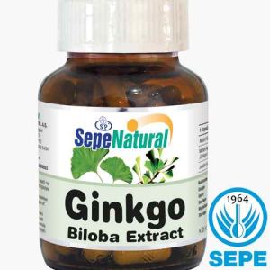 Ginkgo Biloba Extract 90 Kapsül Ginko Ekstrakt Ekstresi