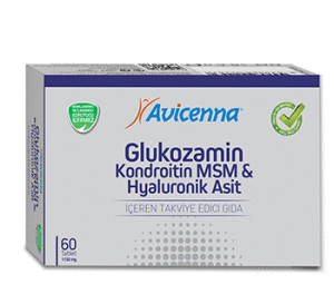 Avicenna Glucosamine MSM 60 Tablet