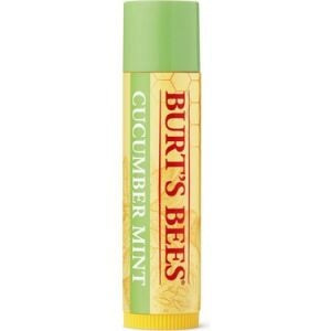 Burt's Bees Lip Balm Cucumber Mint 4,25 gr