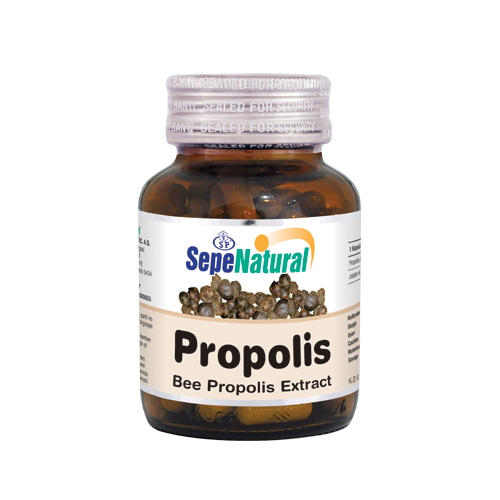 Propolis Ekstresi Kapsül 90 x 380 mg