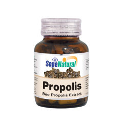 Propolis Ekstresi Kapsül 90 x 380 mg