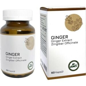 Anti Zencefil Ginger 60 Kapsül