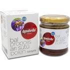 Dynabeille Propolis Arı Sütü Polen Karışımı P-16