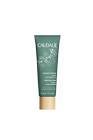 Caudalie Purifying Mask Temizleyici Kil Maskesi 75 ml