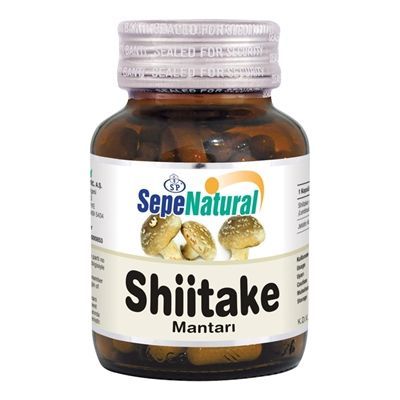 Shiitake Mantar Ekstraktı 90 Kapsül x 380 mg