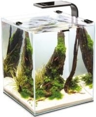 Aquael Shrimp Set Day And Night 20 Akvaryum (SİYAH)