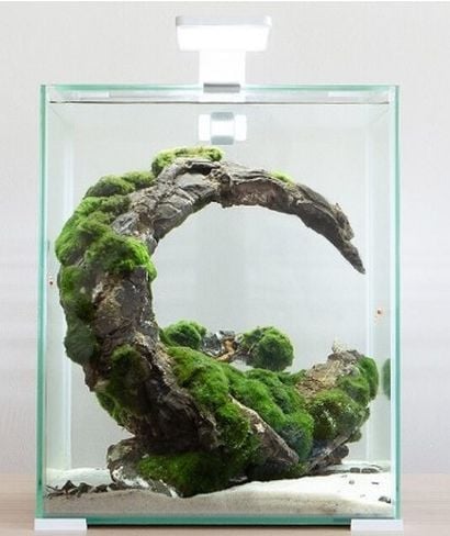 Aquael Shrimp Set Day And Night 20 Akvaryum (BEYAZ)