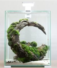 Aquael Shrimp Set Day And Night 20 Akvaryum (BEYAZ)