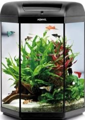 Aquael Hexa Set 60 SEHPALI (SİYAH)
