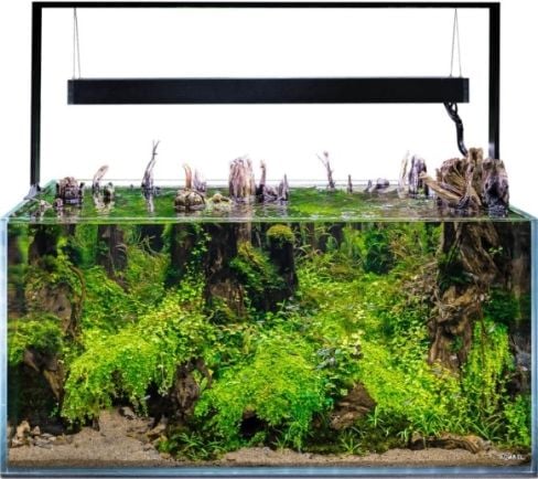 AQUAEL ULTRASCAPE FOREST SET 60 Siyah