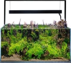 AQUAEL ULTRASCAPE FOREST SET 60 Siyah
