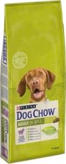 Dog Chow Adult Lamb Rice Kuzulu Pirinçli 14 kg Yetişkin Köpek Maması