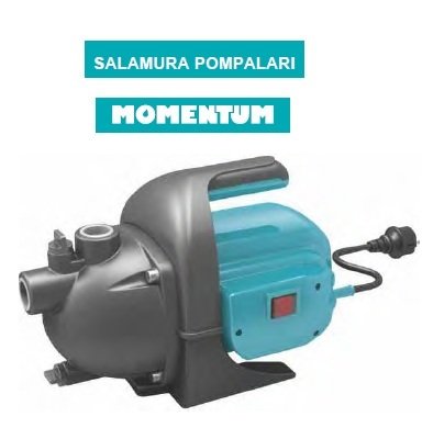 Momentum PKJ-1104P    1Hp 220V  Salamura Pompası