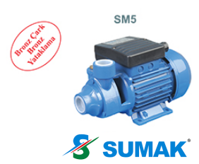 SMT5 0.5 HP 380V SÜRTME FANLI PREFERİKAL POMPA