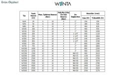 Wenta  WE-50-D  50 Litre  10 Bar  Dik Ayaklı Hidrofor ve Genleşme Tankı (Manometresiz)
