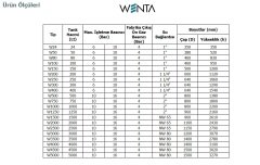 Wenta  WE-1500  1500 Litre  10 Bar  Dik Ayaklı Hidrofor ve Genleşme Tankı (Manometreli)