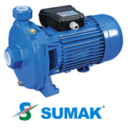 SM220 2.2 HP 220V DÖKÜM GÖVDELİ  SANTRİFÜJ POMPA