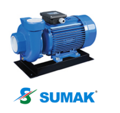 SMT 1000/3  10 HP 380V DÖKÜM GÖVDELİ SANTRİFÜJ POMPA