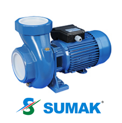 SM 300/4  3 HP 220V DÖKÜM GÖVDELİ SANTRİFÜJ POMPA